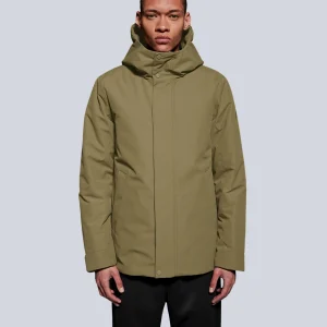 BARNARD - MARTINI OLIVE