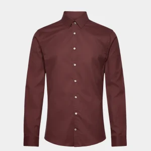 FILBRODIE - PURE DECADENCE