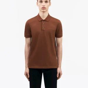 DARIOS - GOLDEN COPPER