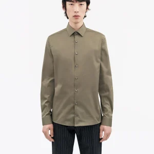 FILBRODIE - PINE GREEN