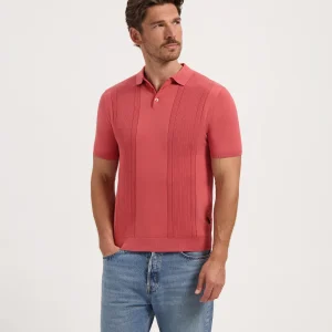 FRIEDERICH - RASPBERRY