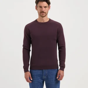 ANTOON - DEEP PURPLE