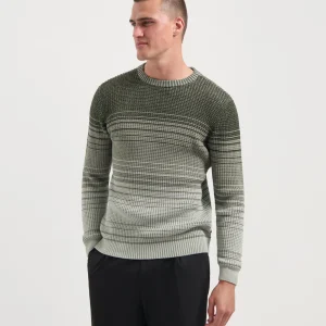 BRENT - DEEP FOREST GREEN