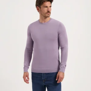 BART - WASHED PURPLE