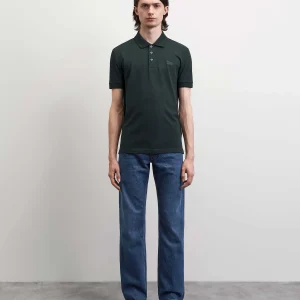 DARIOS - OCEAN GREEN