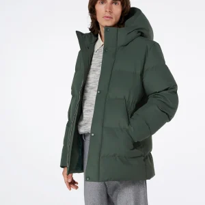 BROR - JUNIPER GREEN